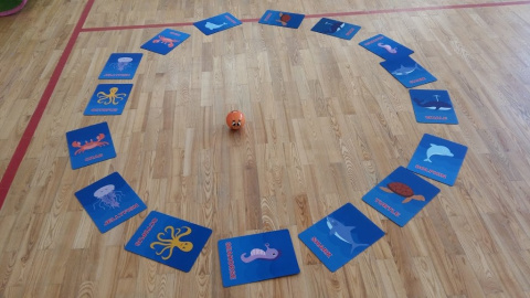 Play me Kiddo Zwierzątka Morskie, maty edukacyjne, angielski, gra językowa, gra ruchowa, pomoce dydaktyczne Play me Kiddo Zwierzątka Morskie, maty edukacyjne, angielski, gra językowa, gra ruchowa, pomoce dydaktyczne